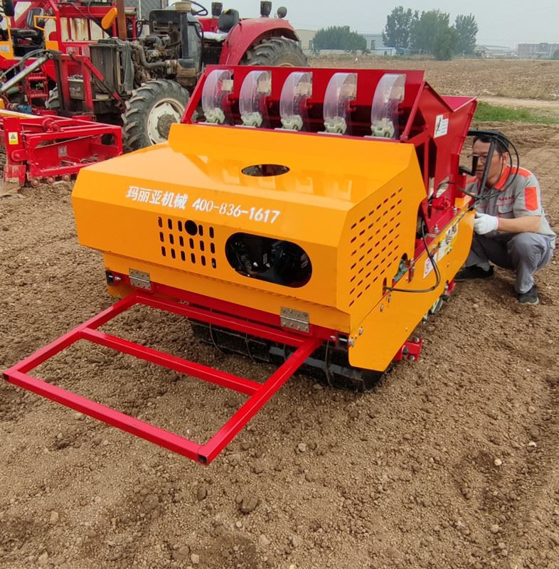 Self propelled garlic planter seeds verticle 5 lines