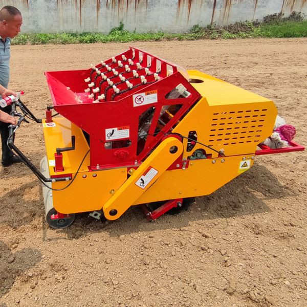 Self-propelled garlic sower seeds straight up