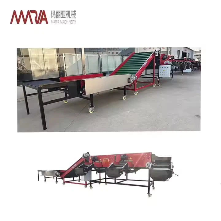 Automatic Srhimp Avocado Cucumber Kiwi Vegetable Fruit Size Weight Washing Grader Sorting And Sorter Grading Machine For Sale