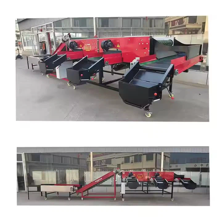 Automatic Srhimp Avocado Cucumber Kiwi Vegetable Fruit Size Weight Washing Grader Sorting And Sorter Grading Machine For Sale